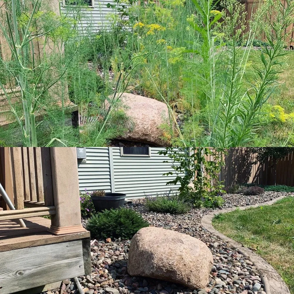 Reliable lawn mowing service for residential properties across Jackson, WI - Optimal Lawn Maintenance