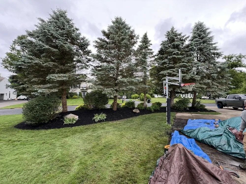 Local landscaping services in Chittenango, NY - Optimal Property Services