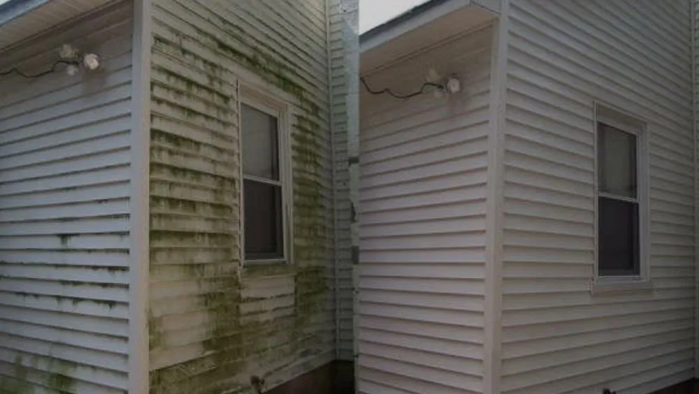 Top-rated residential landscaping experts serving Chittenango, NY - Optimal Property Services