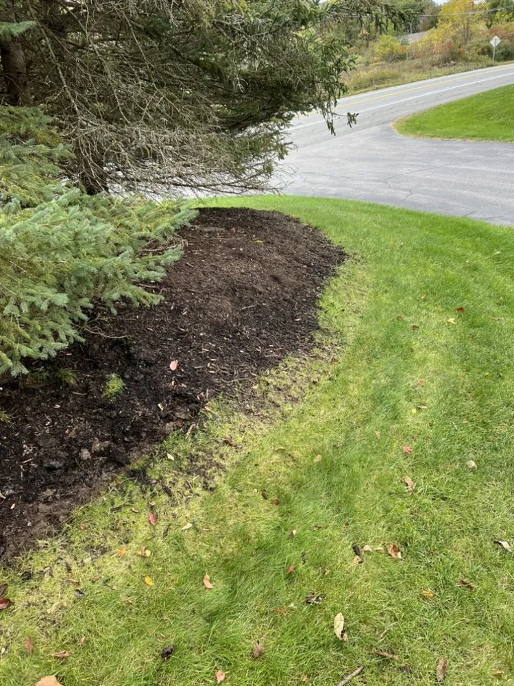Custom yard cleanup service experts serving Chittenango, NY - Optimal Property Services