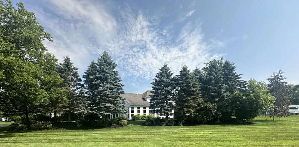 Affordable outdoor landscaping experts serving Chittenango, NY - Optimal Property Services