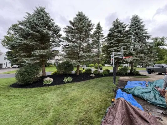 Optimal Property Services