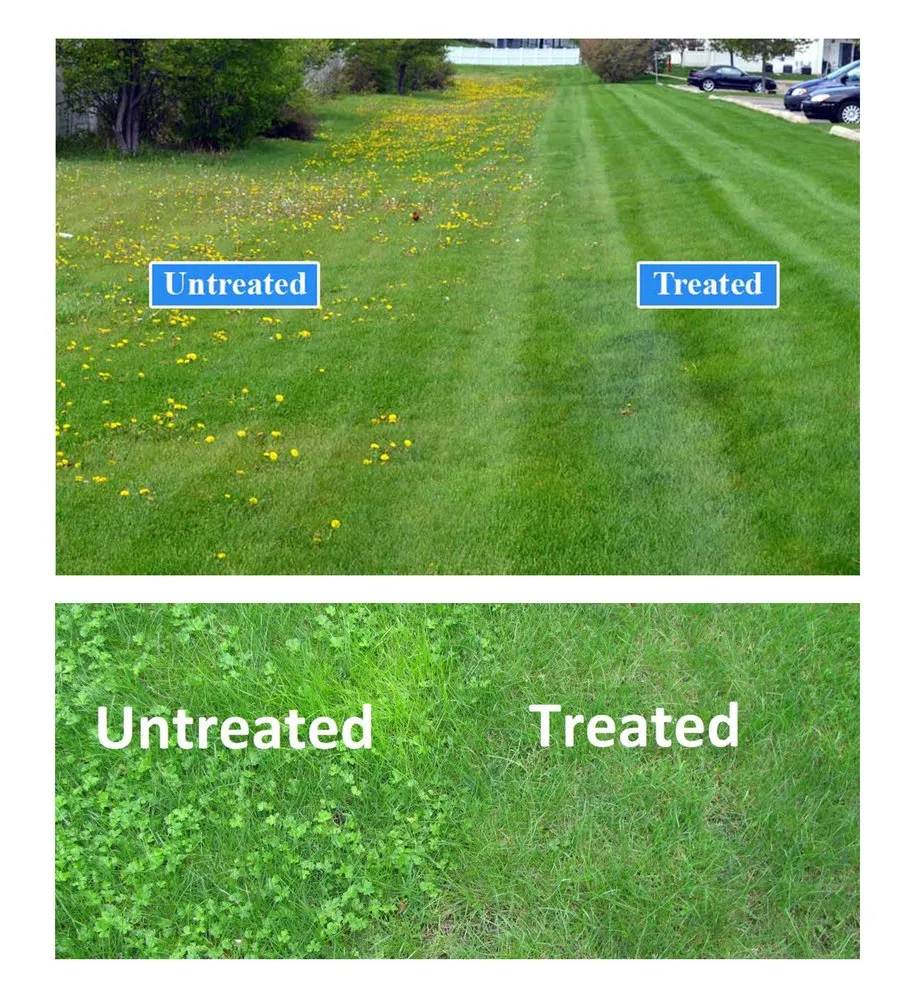 Local landscape installation experts serving Nashville, TN - Optimal Turf Care