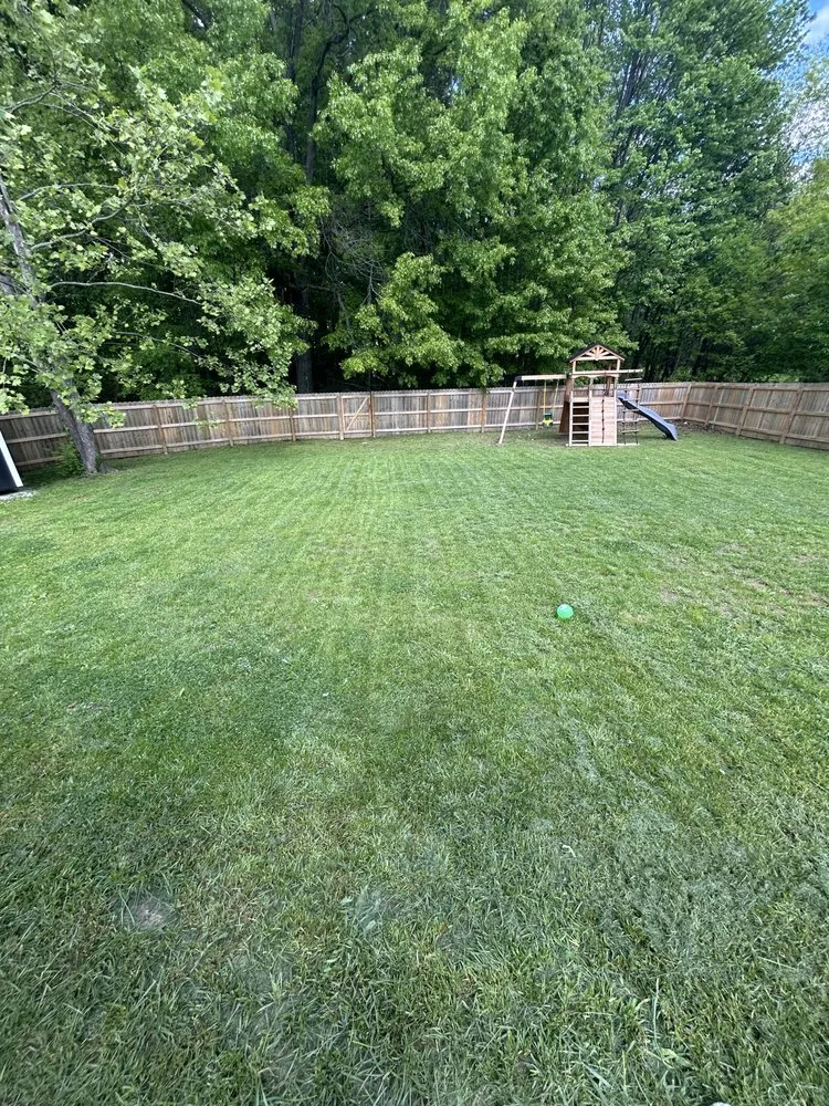 Affordable lawn care service near you across Louisville, KY - Optimistic cuts