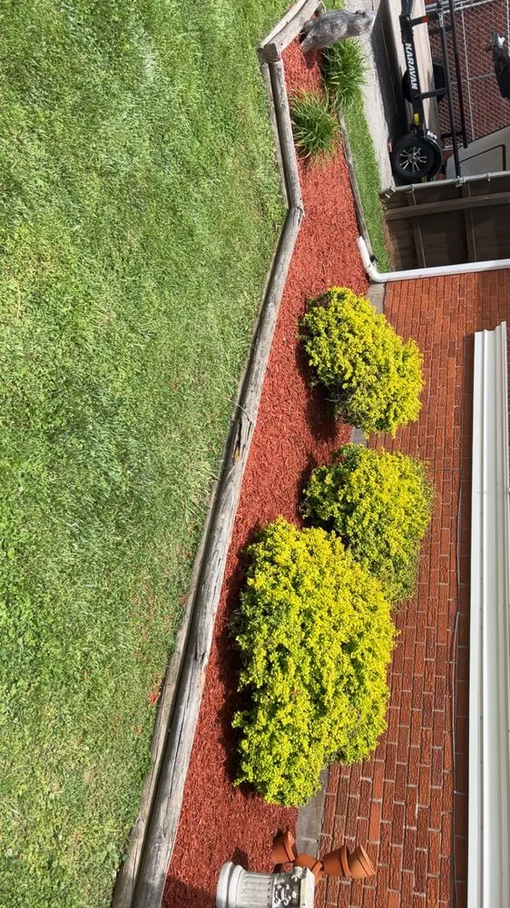 Affordable landscape installation with custom design in Louisville, KY by Optimistic cuts