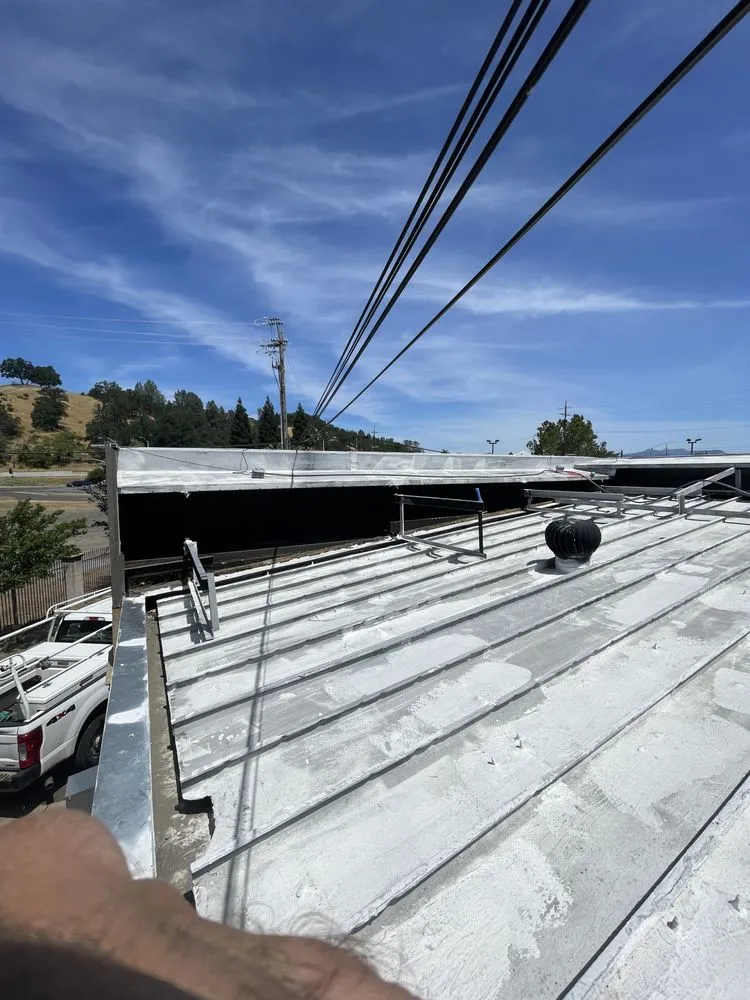 Expert yard cleanup service for beautiful yards across Redding, CA - Optimum Handyman