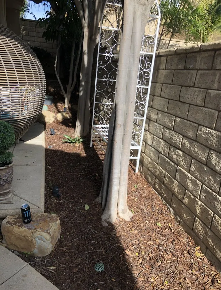 Trusted yard maintenance in Oxnard, CA - Optimum Landscape & Maintenance