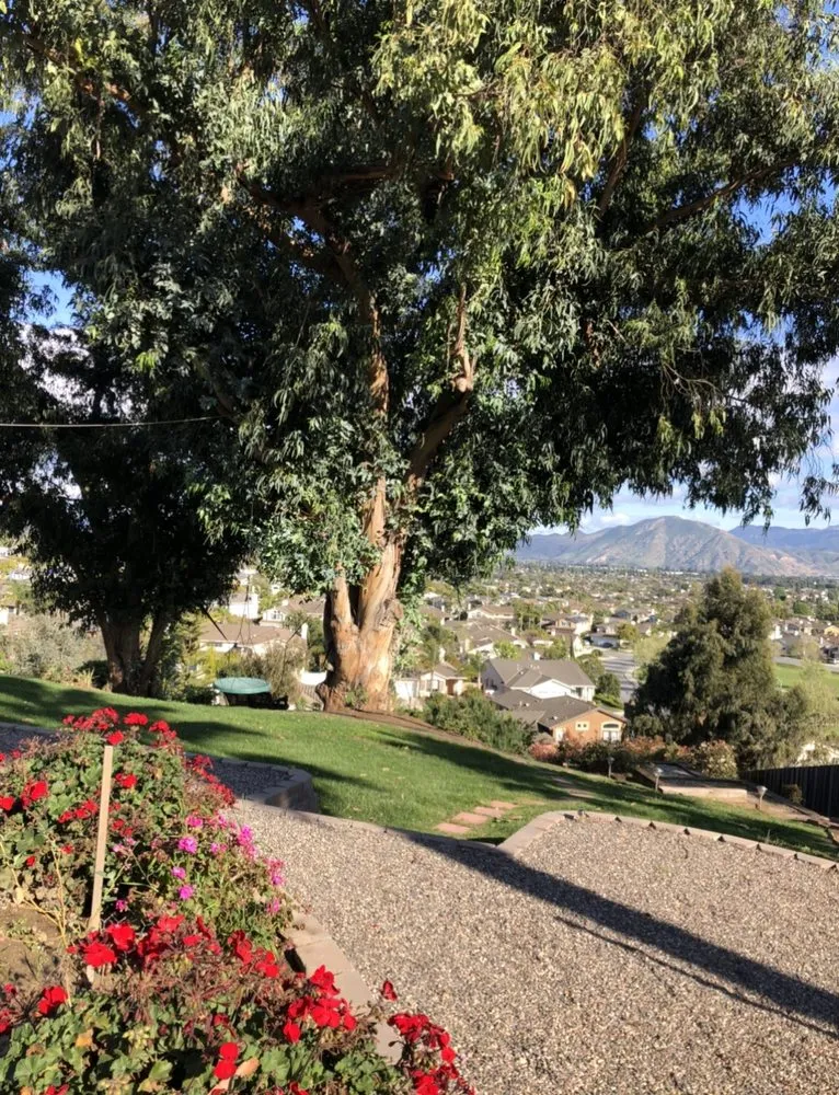 Affordable yard maintenance near you across Oxnard, CA - Optimum Landscape & Maintenance