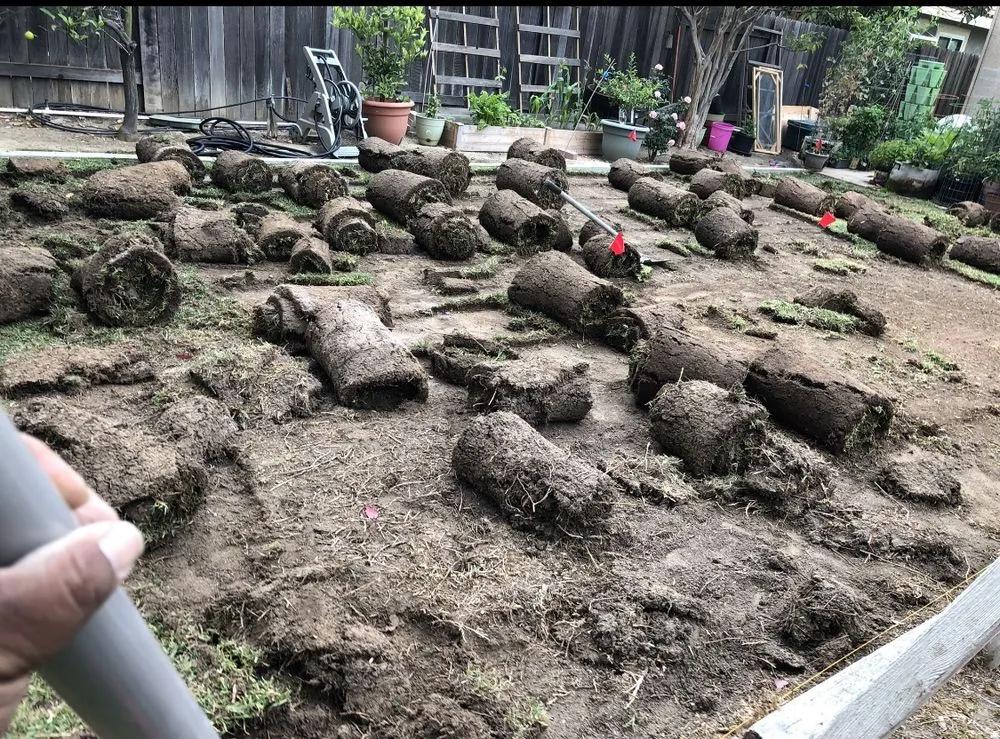 Affordable landscape design for year-round maintenance in Oxnard, CA by Optimum Landscape & Maintenance