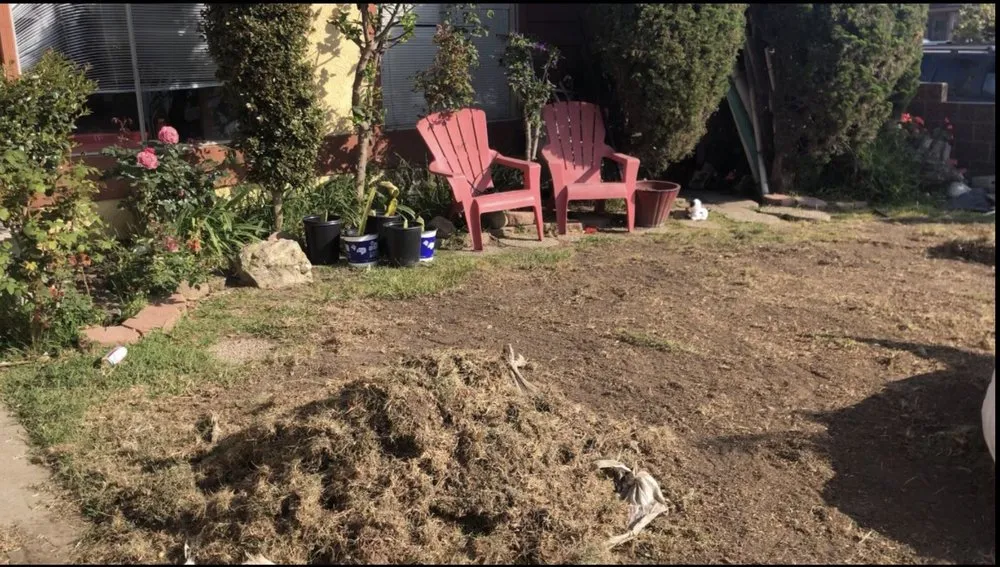 Reliable outdoor landscaping in Oxnard, CA by Optimum Landscape & Maintenance