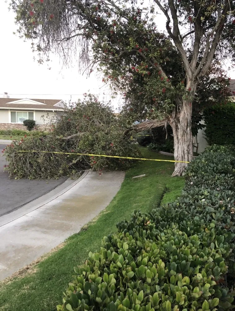 Professional landscape installation near you across Oxnard, CA - Optimum Landscape & Maintenance