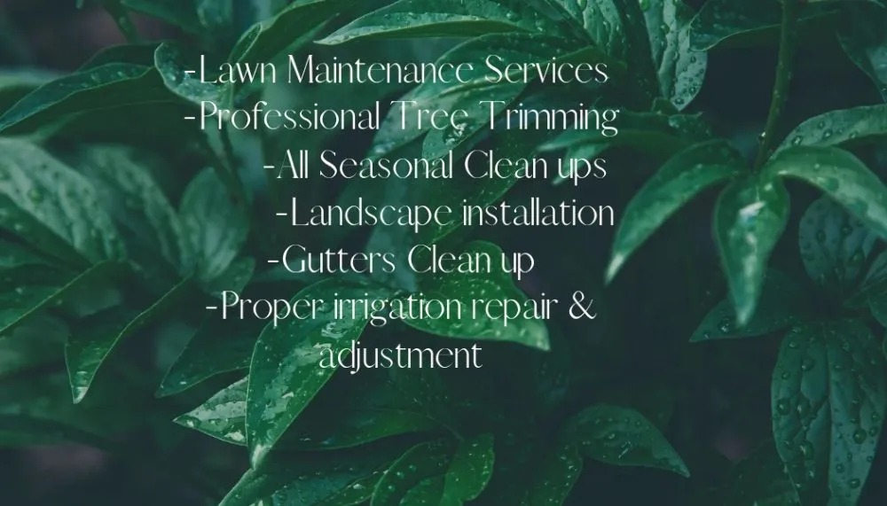 Top-rated lawn mowing service in Prescott Valley, AZ - Optimum Landscaping Professionals