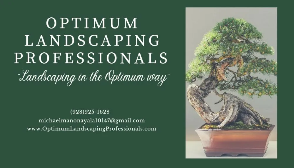 Affordable yard maintenance in Prescott Valley, AZ by Optimum Landscaping Professionals