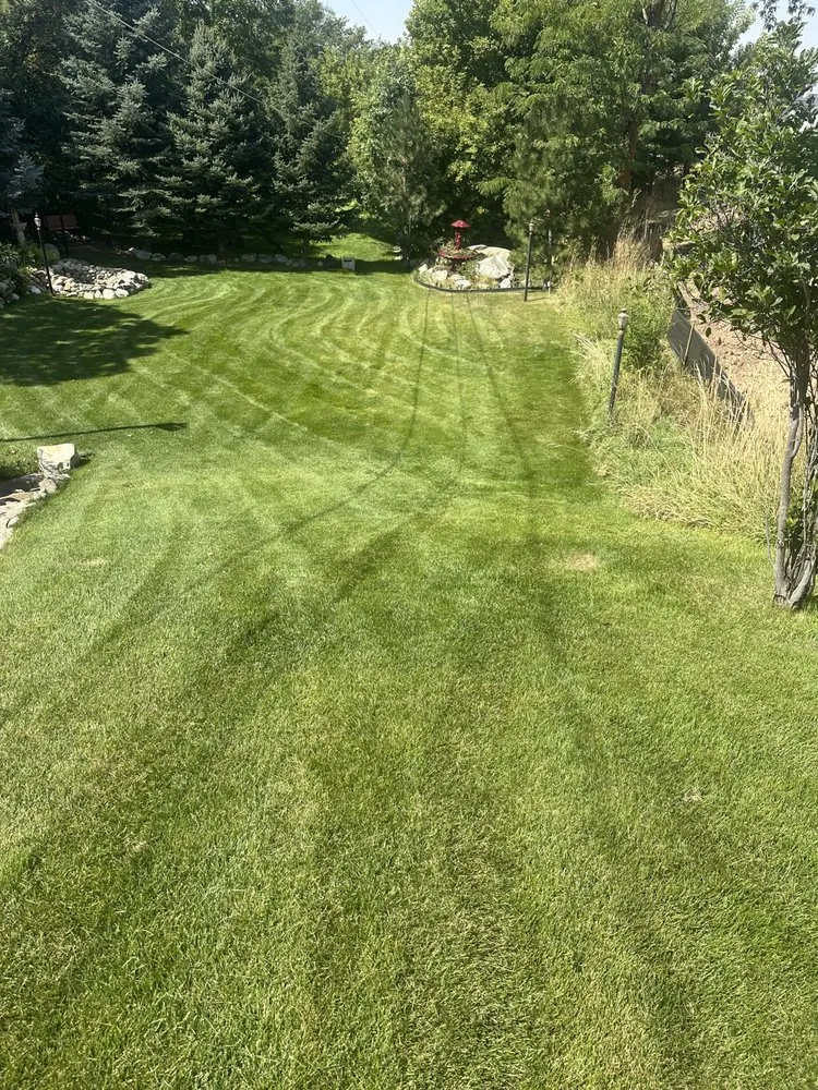 Reliable lawn care service in West Valley City, UT - Optimum landscaping