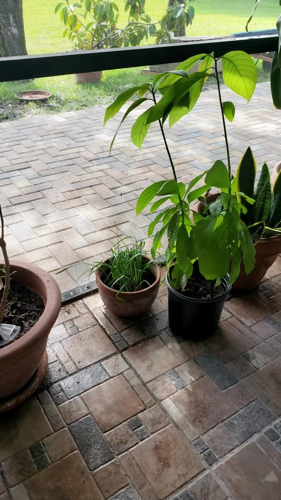 Local yard maintenance for residential properties across Weston, FL - Optimum Landscaping