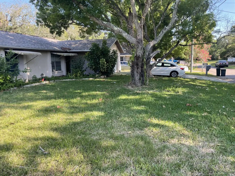 Affordable outdoor landscaping experts serving Ruskin, FL - Optimum Lawn Care Services