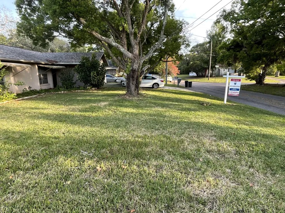 Top-rated yard maintenance experts serving Ruskin, FL - Optimum Lawn Care Services