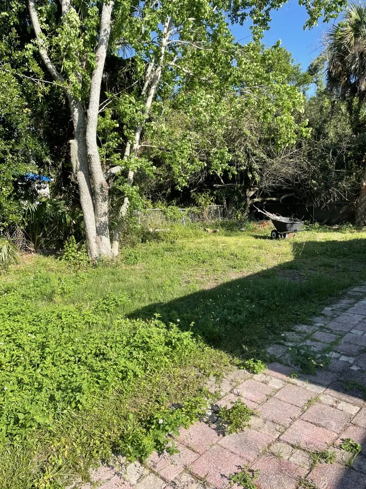 Affordable outdoor landscaping near you in Ruskin, FL by Optimum Lawn Care Services