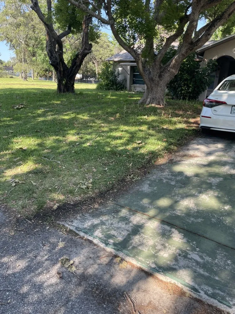 Professional landscape installation experts serving Ruskin, FL - Optimum Lawn Care Services