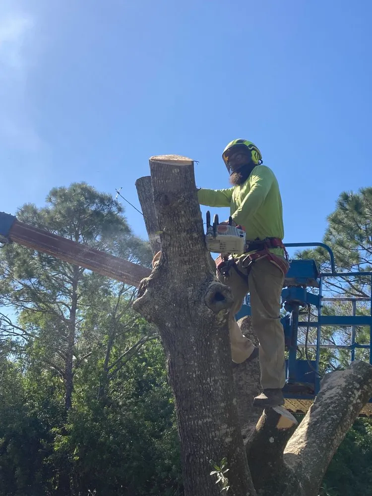 Top-rated lawn mowing service in Vero Beach, FL by Optimum Tree Care