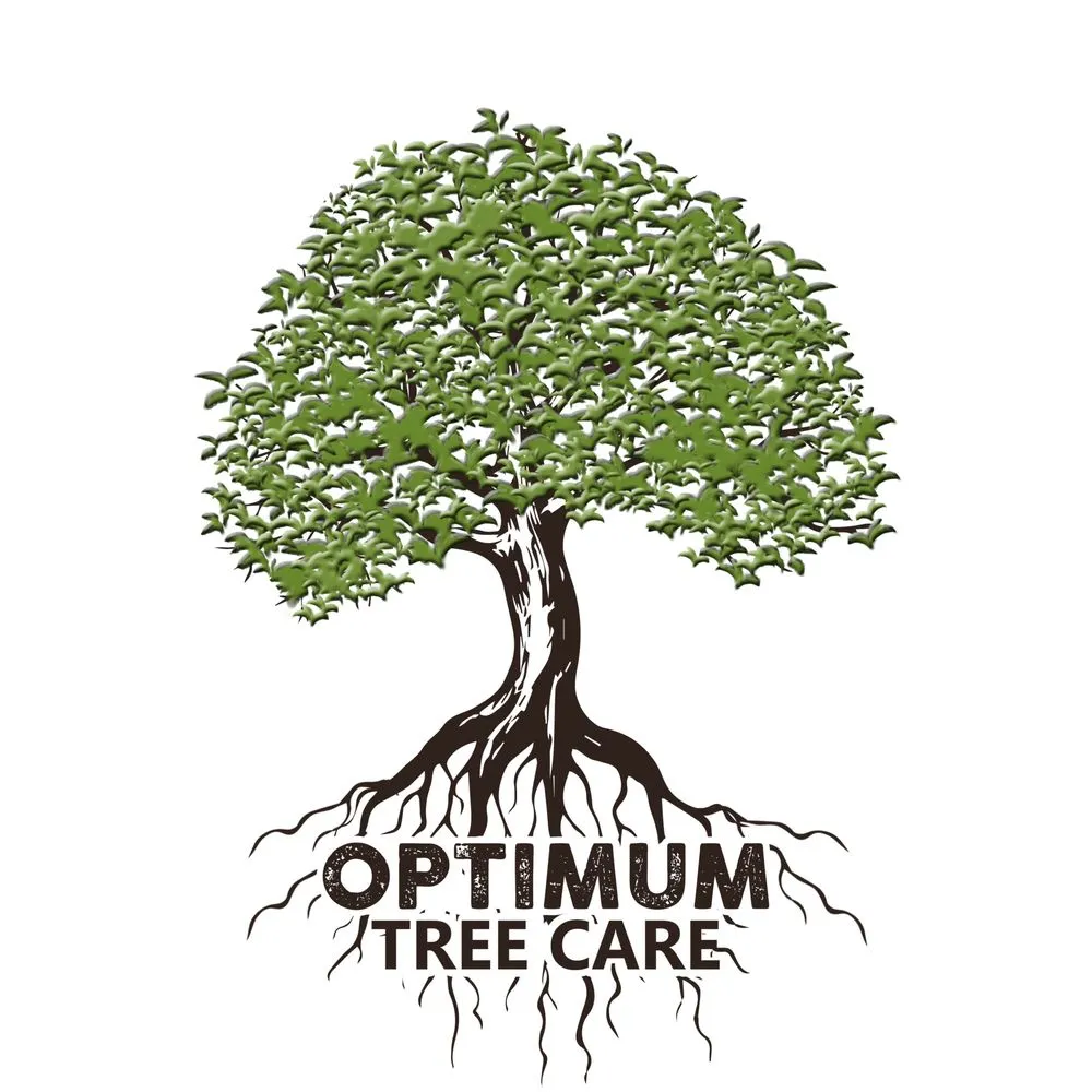 Professional garden landscaping for year-round maintenance in Vero Beach, FL by Optimum Tree Care