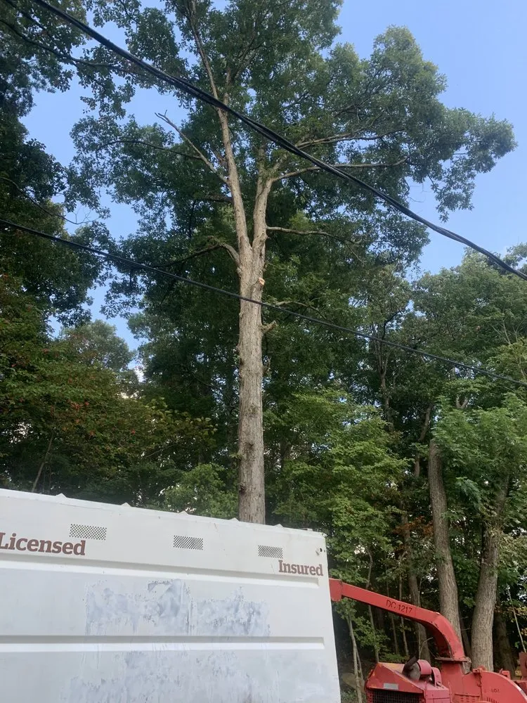 Custom lawn mowing service experts serving Bowling Green, KY - Optimum Tree Service and Landscaping