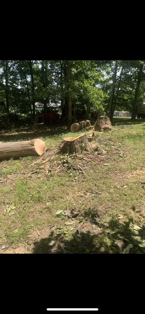 Affordable residential landscaping in Bowling Green, KY - Optimum Tree Service and Landscaping
