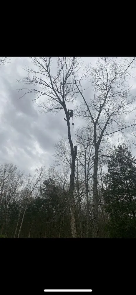 Trusted landscape installation experts serving Bowling Green, KY - Optimum Tree Service and Landscaping