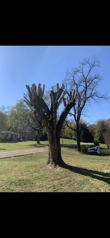Local outdoor landscaping in Bowling Green, KY - Optimum Tree Service and Landscaping