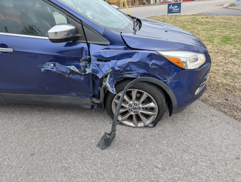 Top-rated lawn care service in Bowling Green, KY by Optimum Tree Service and Landscaping