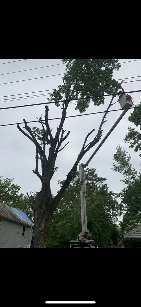 Reliable landscape design near you in Bowling Green, KY by Optimum Tree Service and Landscaping