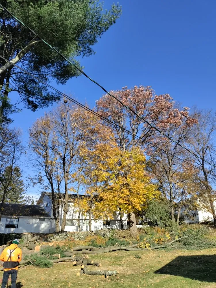 Professional lawn mowing service in North Providence, RI - Optimus Tree Service and Landscaping