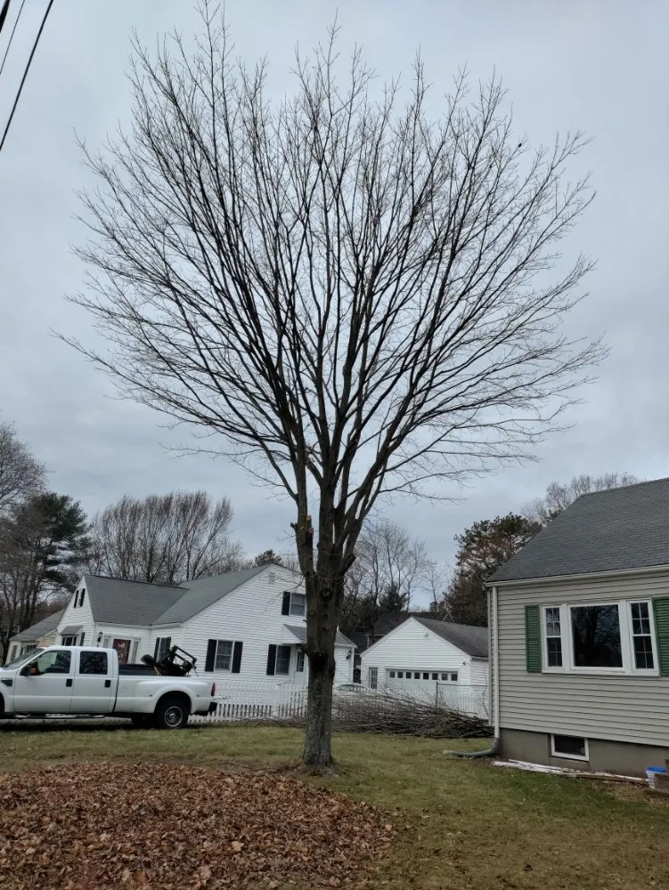 Reliable yard maintenance for beautiful yards in North Providence, RI by Optimus Tree Service and Landscaping