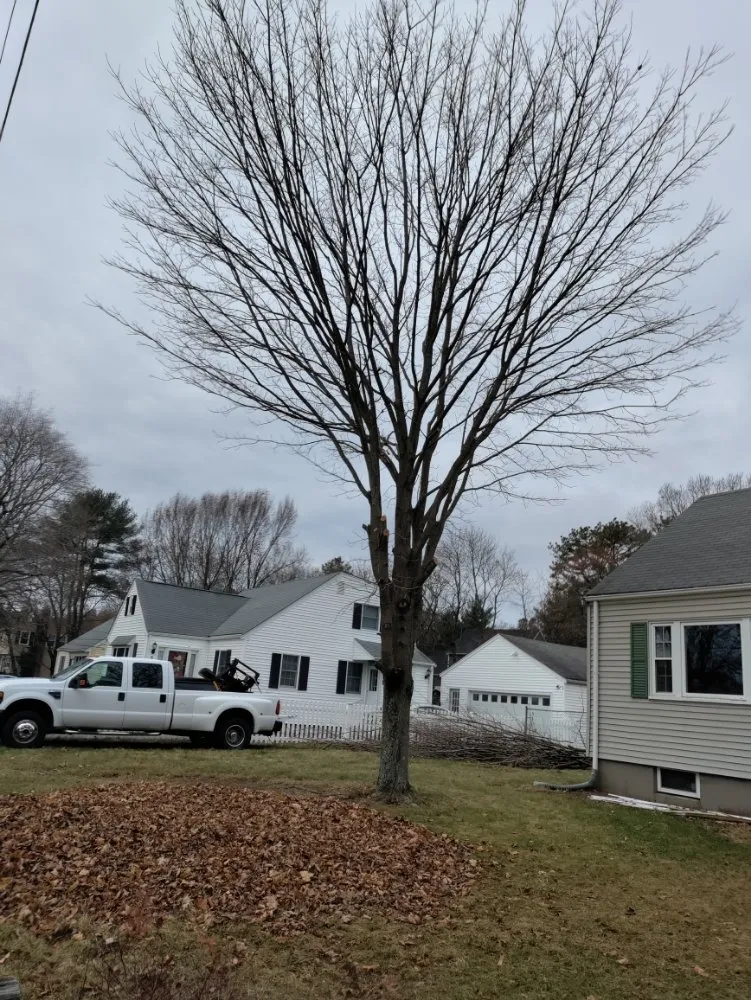 Custom garden landscaping in North Providence, RI - Optimus Tree Service and Landscaping