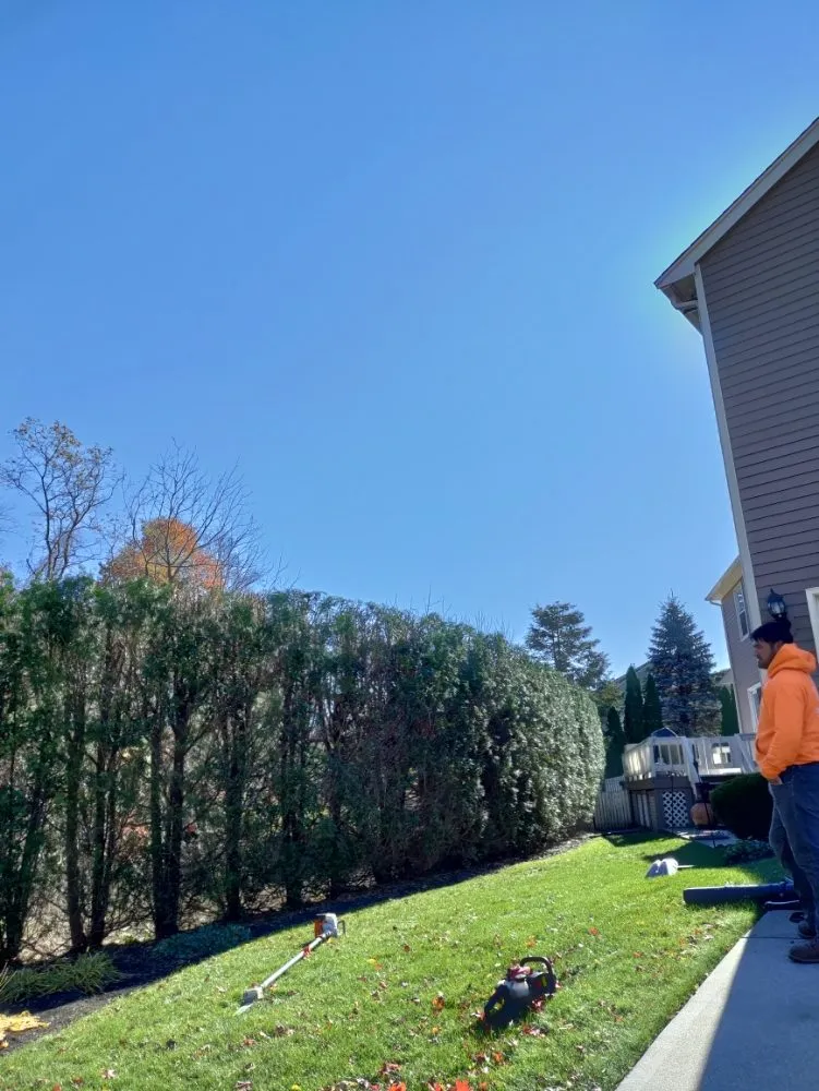 Top-rated yard maintenance for beautiful yards in North Providence, RI by Optimus Tree Service and Landscaping