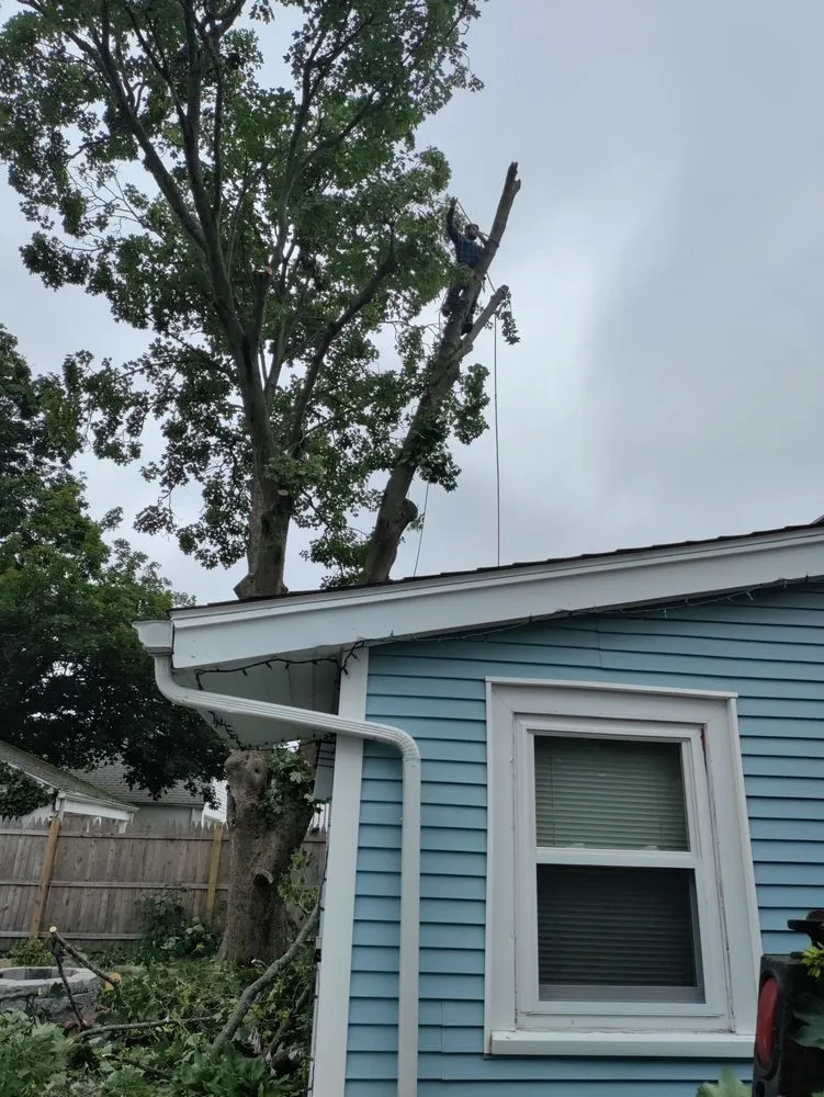 Affordable landscape design for homes in North Providence, RI by Optimus Tree Service and Landscaping