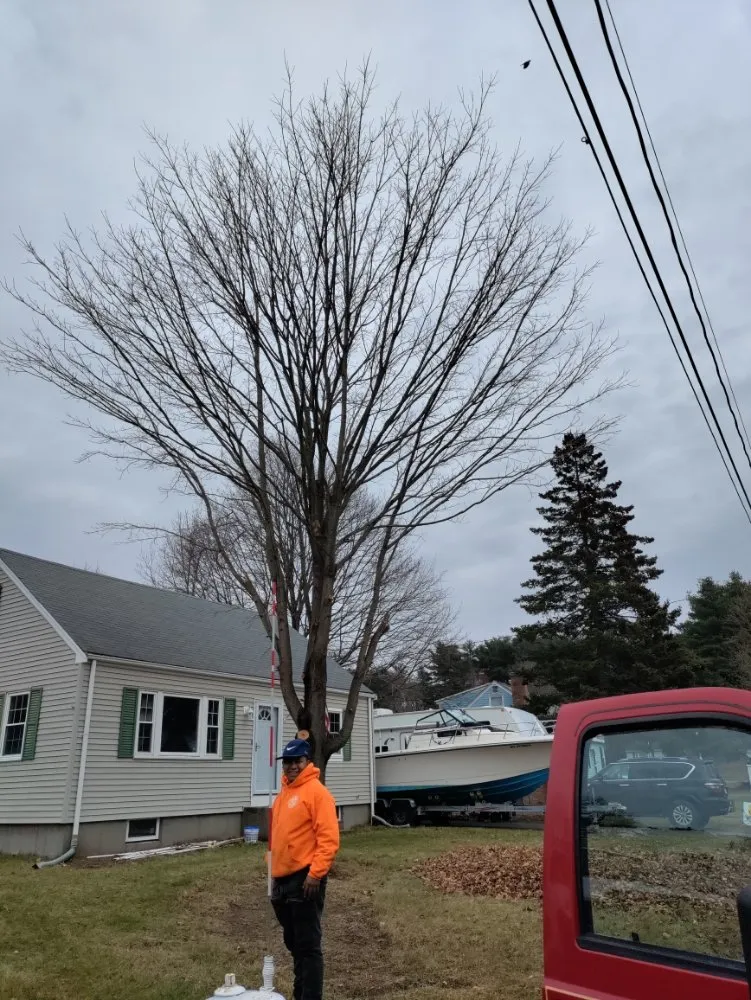 Professional garden landscaping experts serving North Providence, RI - Optimus Tree Service and Landscaping