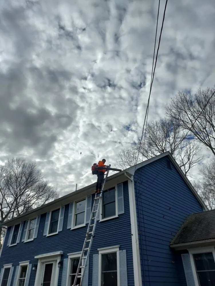 Expert yard maintenance in North Providence, RI by Optimus Tree Service and Landscaping