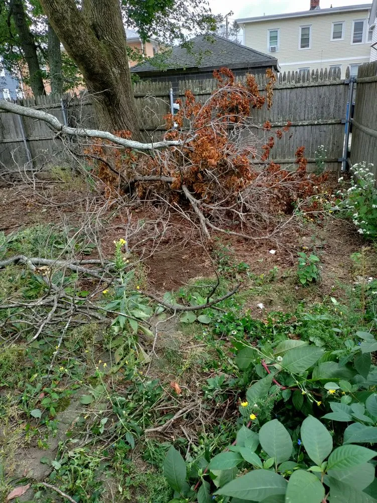 Trusted landscaping services with custom design in North Providence, RI by Optimus Tree Service and Landscaping