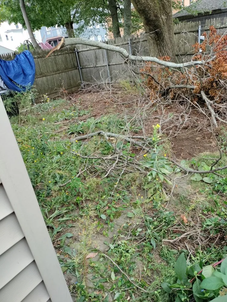 Professional yard maintenance in North Providence, RI - Optimus Tree Service and Landscaping