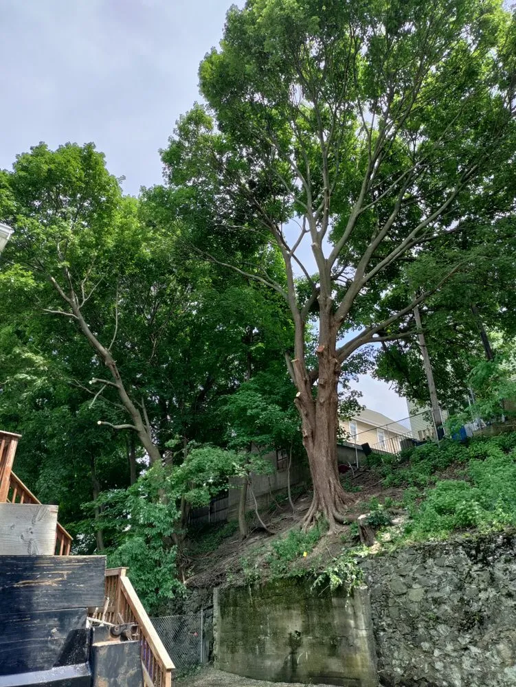 Expert residential landscaping in North Providence, RI by Optimus Tree Service and Landscaping