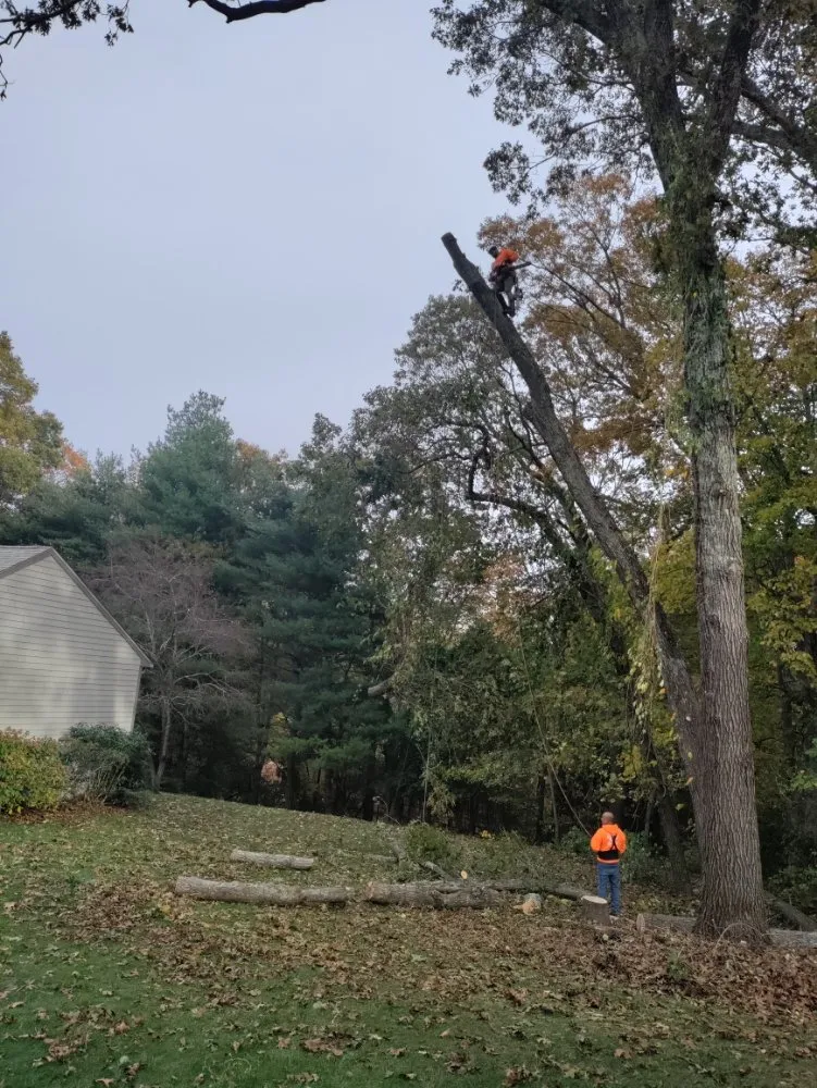 Affordable landscape design for residential properties in North Providence, RI by Optimus Tree Service and Landscaping