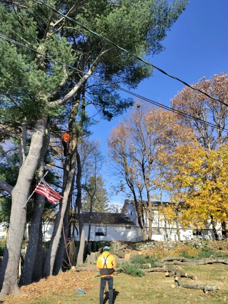 Local landscape installation in North Providence, RI by Optimus Tree Service and Landscaping