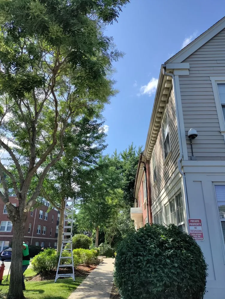 Local garden landscaping in North Providence, RI - Optimus Tree Service and Landscaping