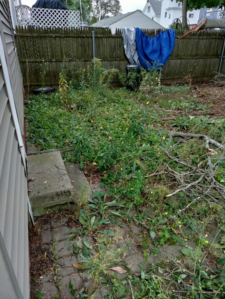 Affordable lawn mowing service for year-round maintenance in North Providence, RI by Optimus Tree Service and Landscaping