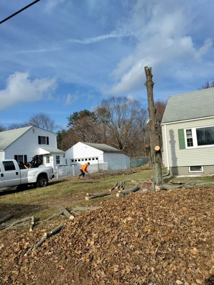 Reliable landscape installation in North Providence, RI - Optimus Tree Service and Landscaping