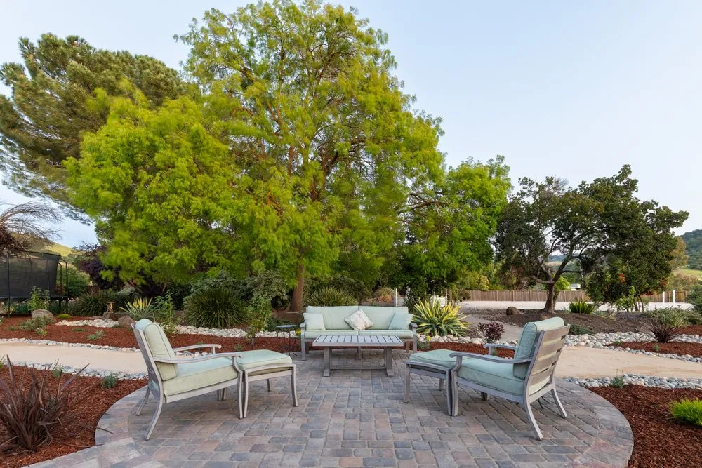 Custom yard cleanup service for outdoor upgrades in Campbell, CA by Opulands Landscape Design & Construction