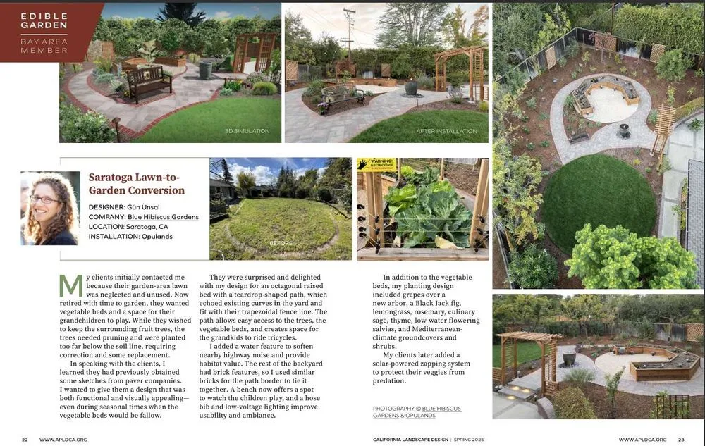 Trusted yard cleanup service experts serving Campbell, CA - Opulands Landscape Design & Construction