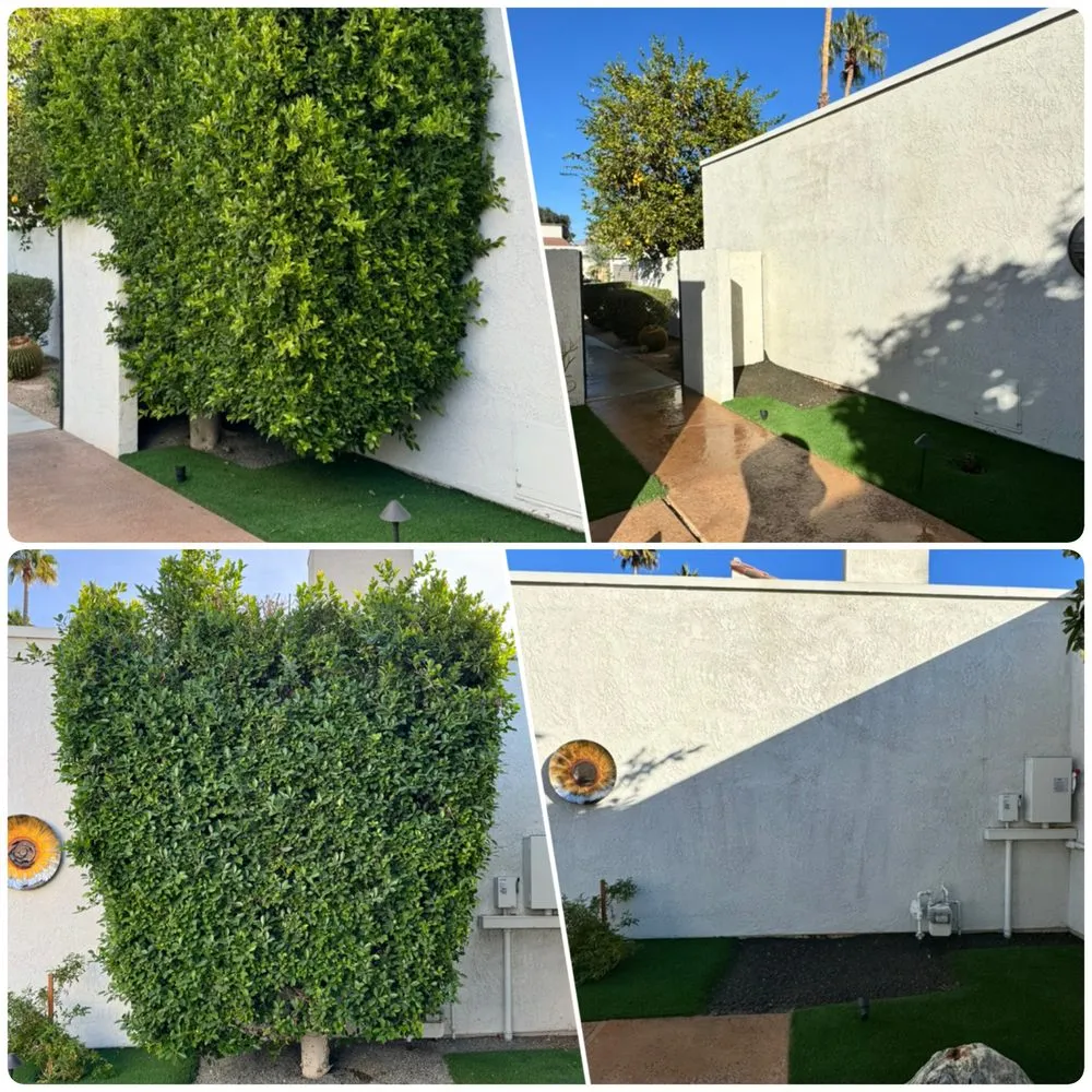 Professional landscaping services in Palm Desert, CA - Opulence Landscaping
