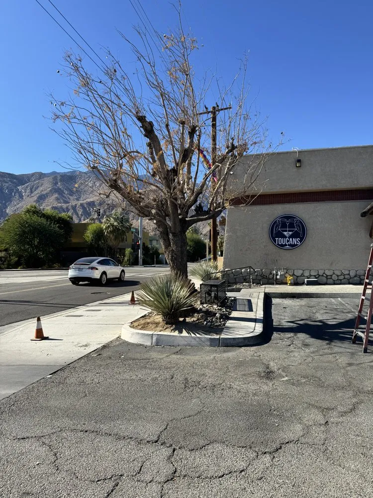 Custom residential landscaping with custom design in Palm Desert, CA by Opulence Landscaping